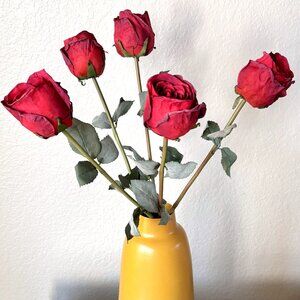 Valentine's Day Deep Red Bundle 5 Long Stem Burnt Edge Roses Artificial Flowers